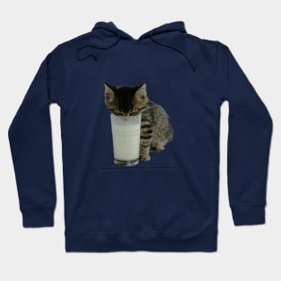 Cat Stealing Milk From A Glass Hoodie